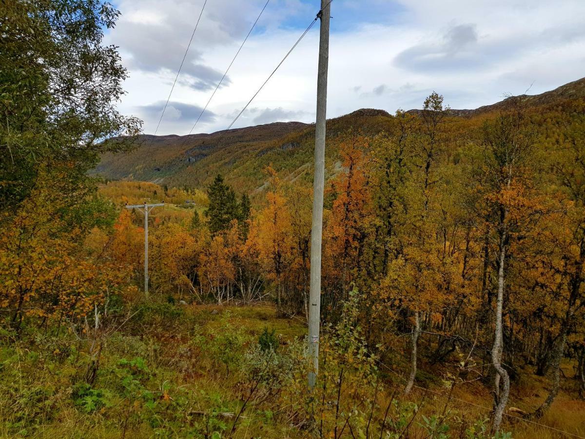 Leilighet I Amotsdal Экстерьер фото