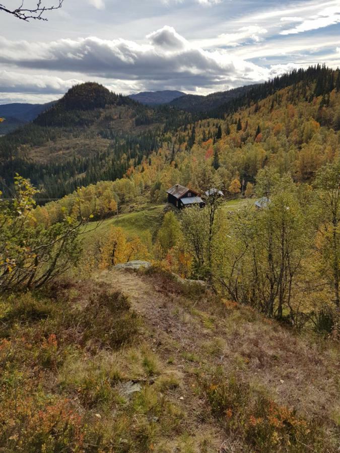 Leilighet I Amotsdal Экстерьер фото