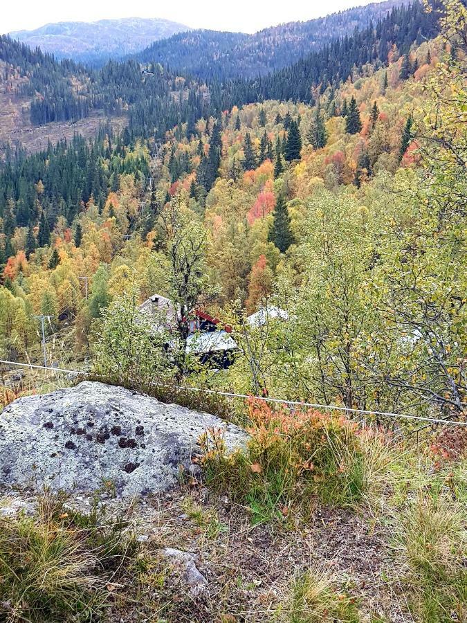 Leilighet I Amotsdal Экстерьер фото