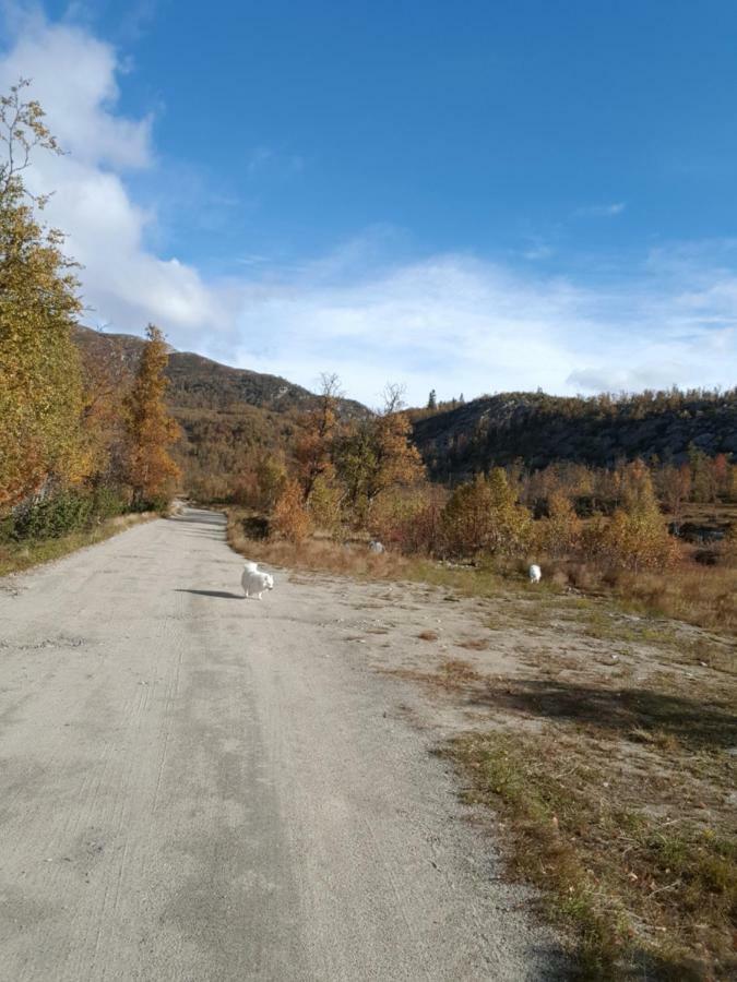 Leilighet I Amotsdal Экстерьер фото