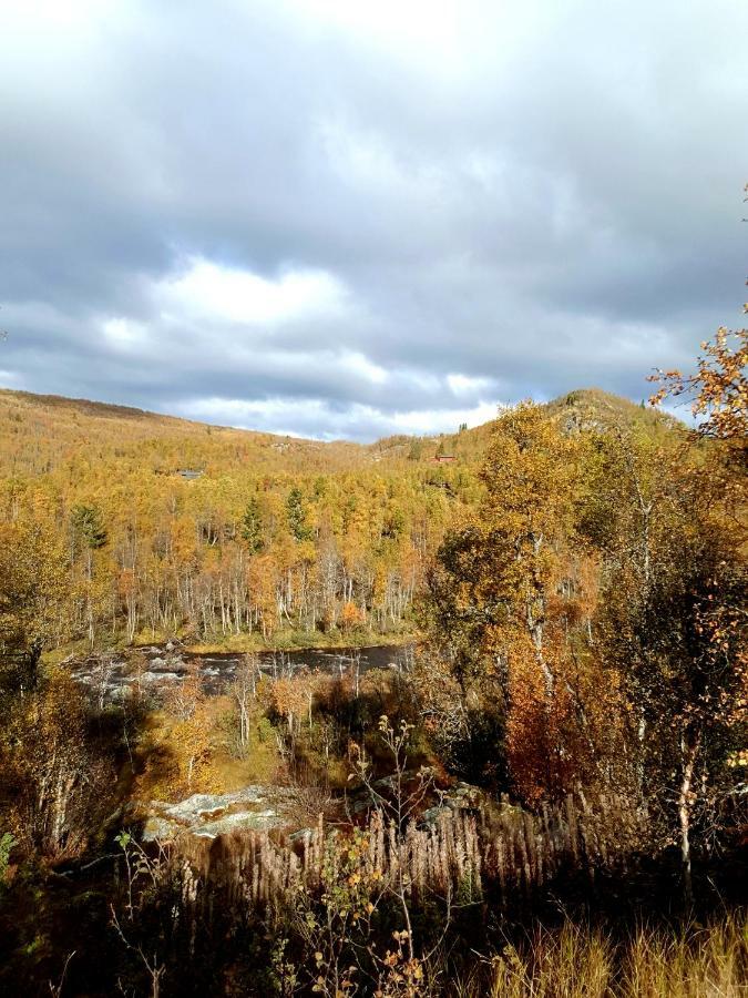 Leilighet I Amotsdal Экстерьер фото