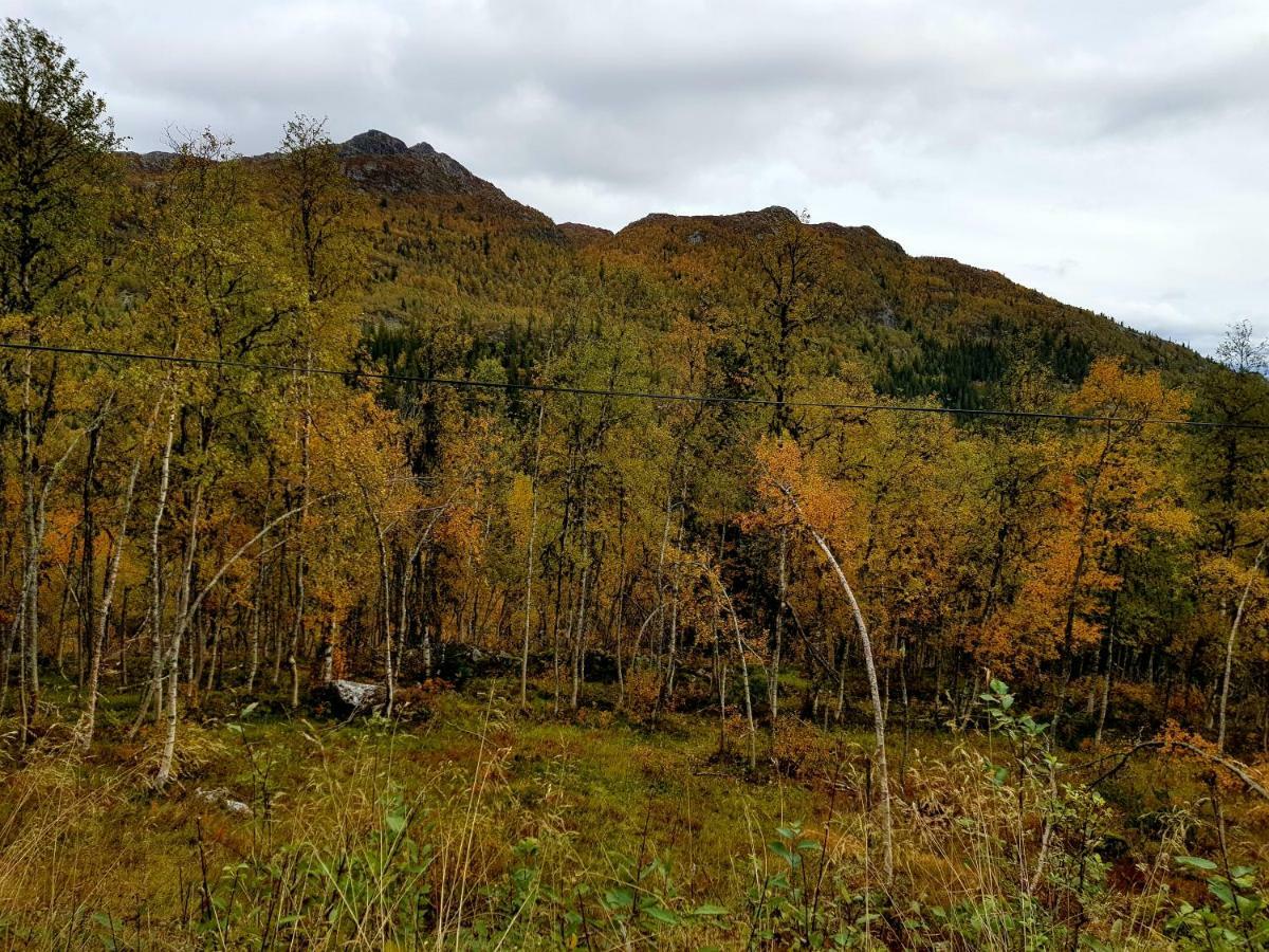 Leilighet I Amotsdal Экстерьер фото
