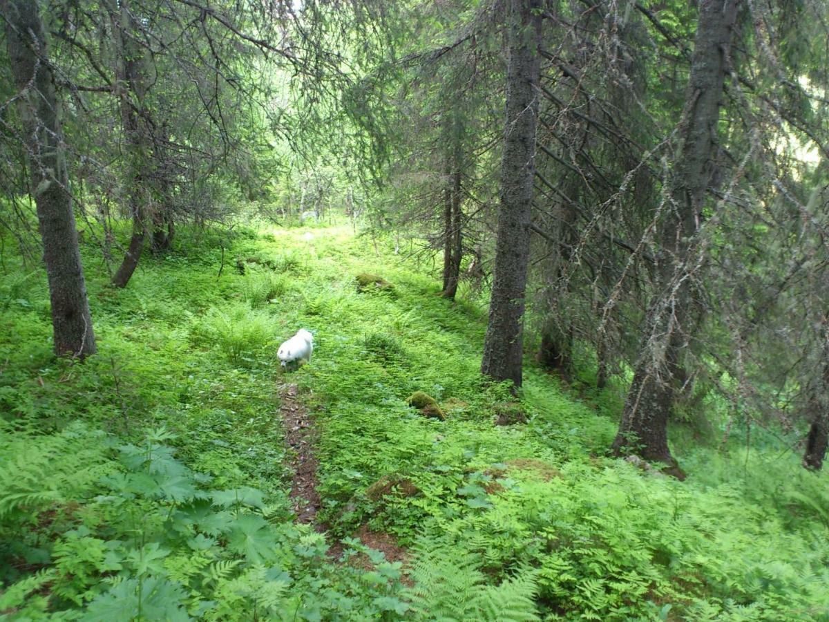 Leilighet I Amotsdal Экстерьер фото